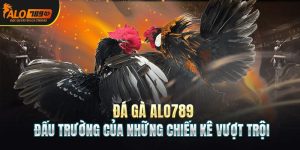 chọi gà alo789