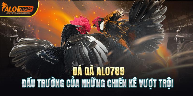 chọi gà alo789